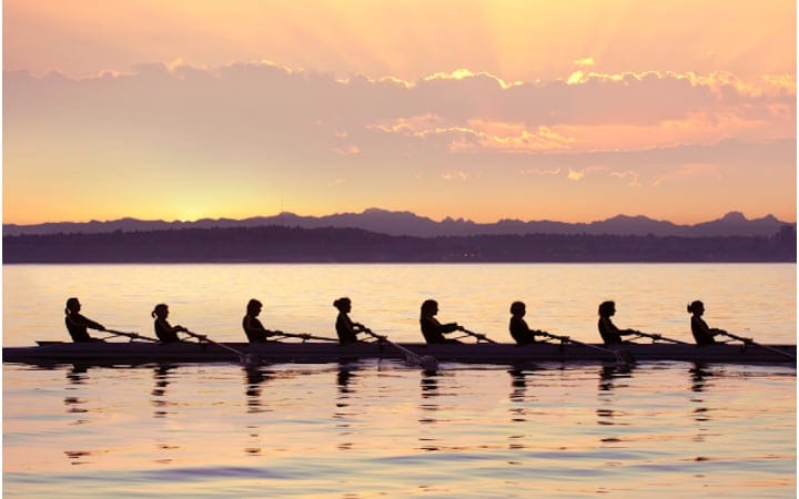 a team of rowers rowing at sunset