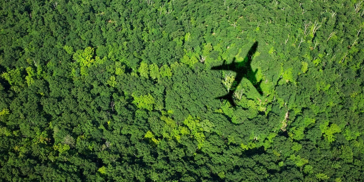 airplane shadow over forest 